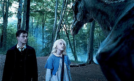 picture from Harry Potter and the Order of the Phoenix